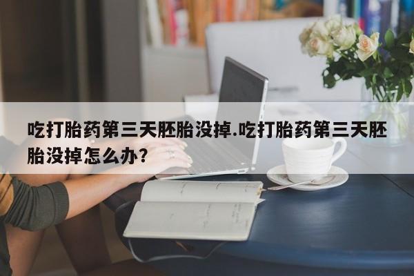 网上怎么购买流产药吃打胎药第三天胚胎没掉.吃打胎药第三天胚胎没掉怎么办？