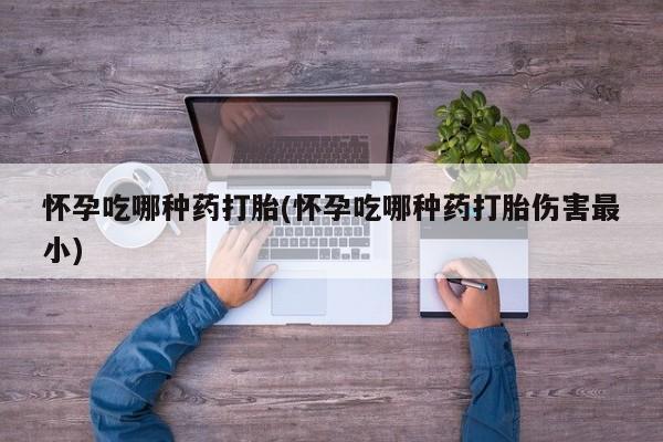 网上怎么购买流产药怀孕吃哪种药打胎(怀孕吃哪种药打胎伤害最小)