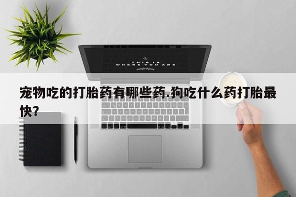 网上怎么购买流产药宠物吃的打胎药有哪些药.狗吃什么药打胎最快？