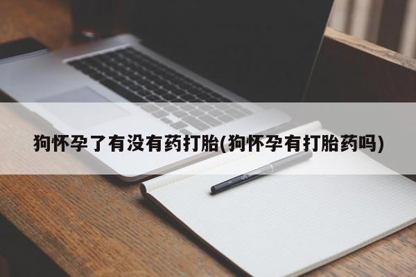 网上怎么购买流产药狗怀孕了有没有药打胎(狗怀孕有打胎药吗)